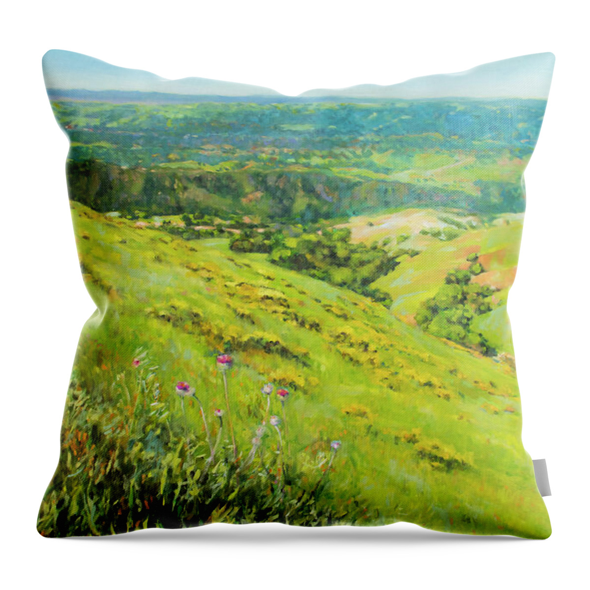 Diablo Throw Pillow featuring the painting Spring on Mount Diablo No. 4 by Kerima Swain