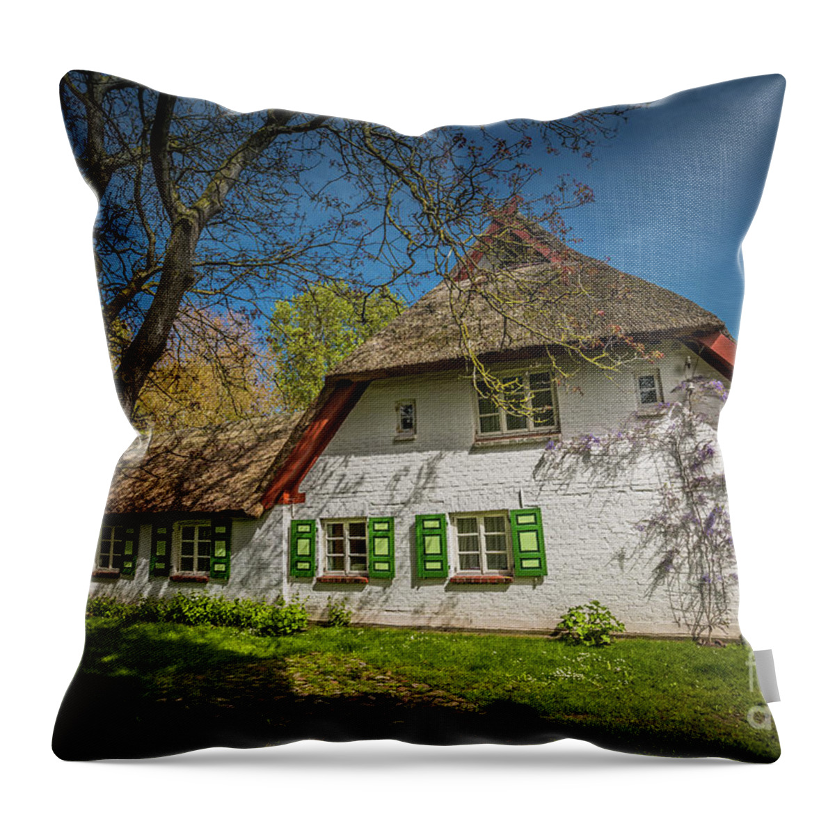 Farm House Throw Pillow featuring the photograph Spring Time by Eva Lechner