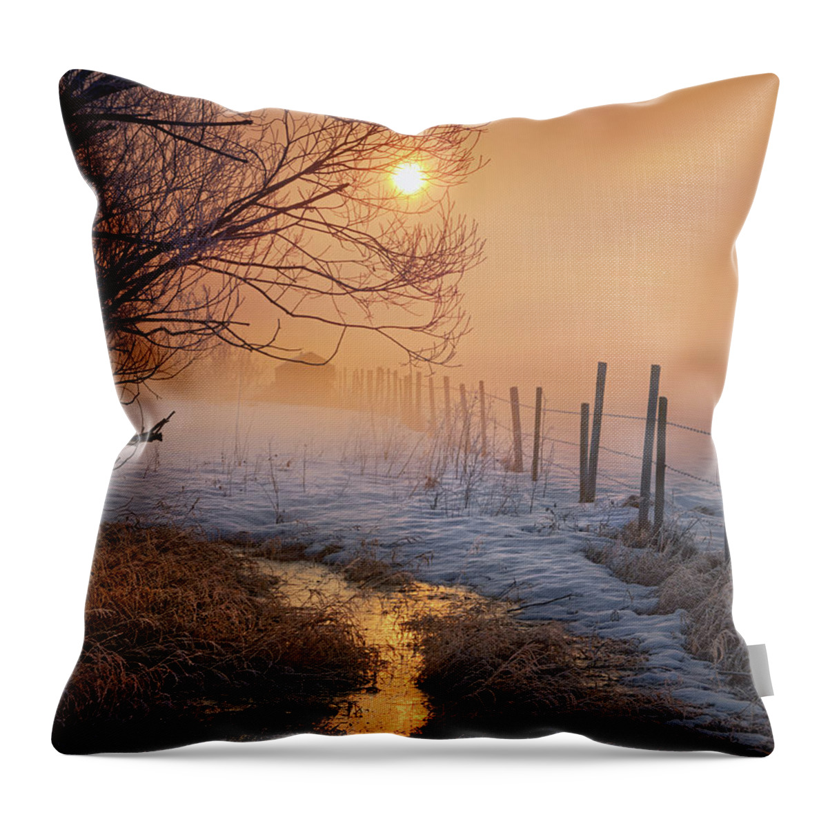 Landscape Throw Pillow featuring the photograph Spring Time in Alberta by Dan Jurak