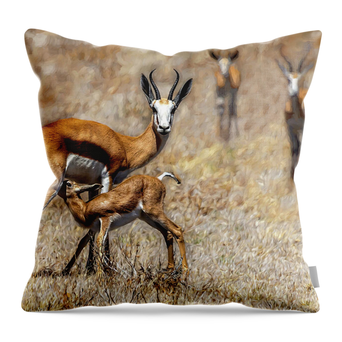 Springbok Throw Pillow featuring the photograph Springbok Mom and Calf by Kay Brewer
