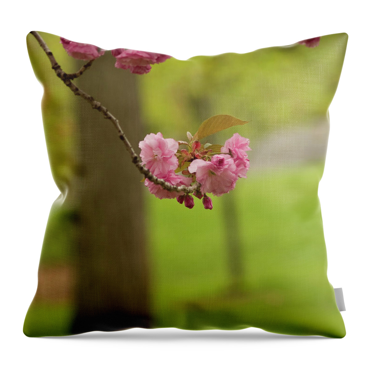 Central Park Throw Pillow featuring the photograph Springtime Blossoms In Central Park by Dorothy Lee
