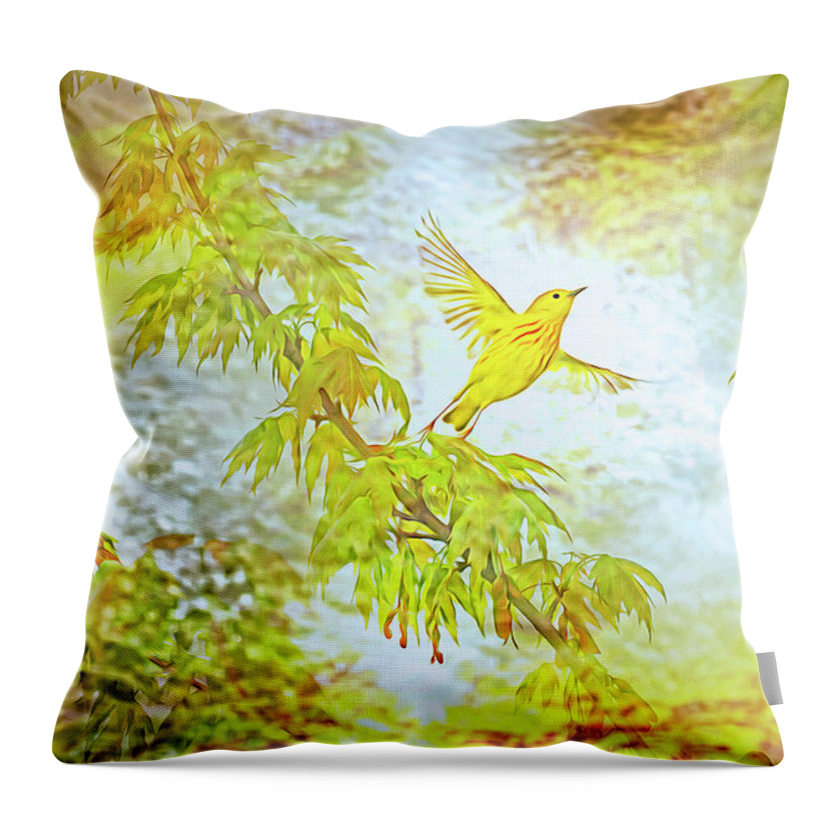 Bird Throw Pillow featuring the photograph Springtime Yellow Warbler by Andrew Zydell