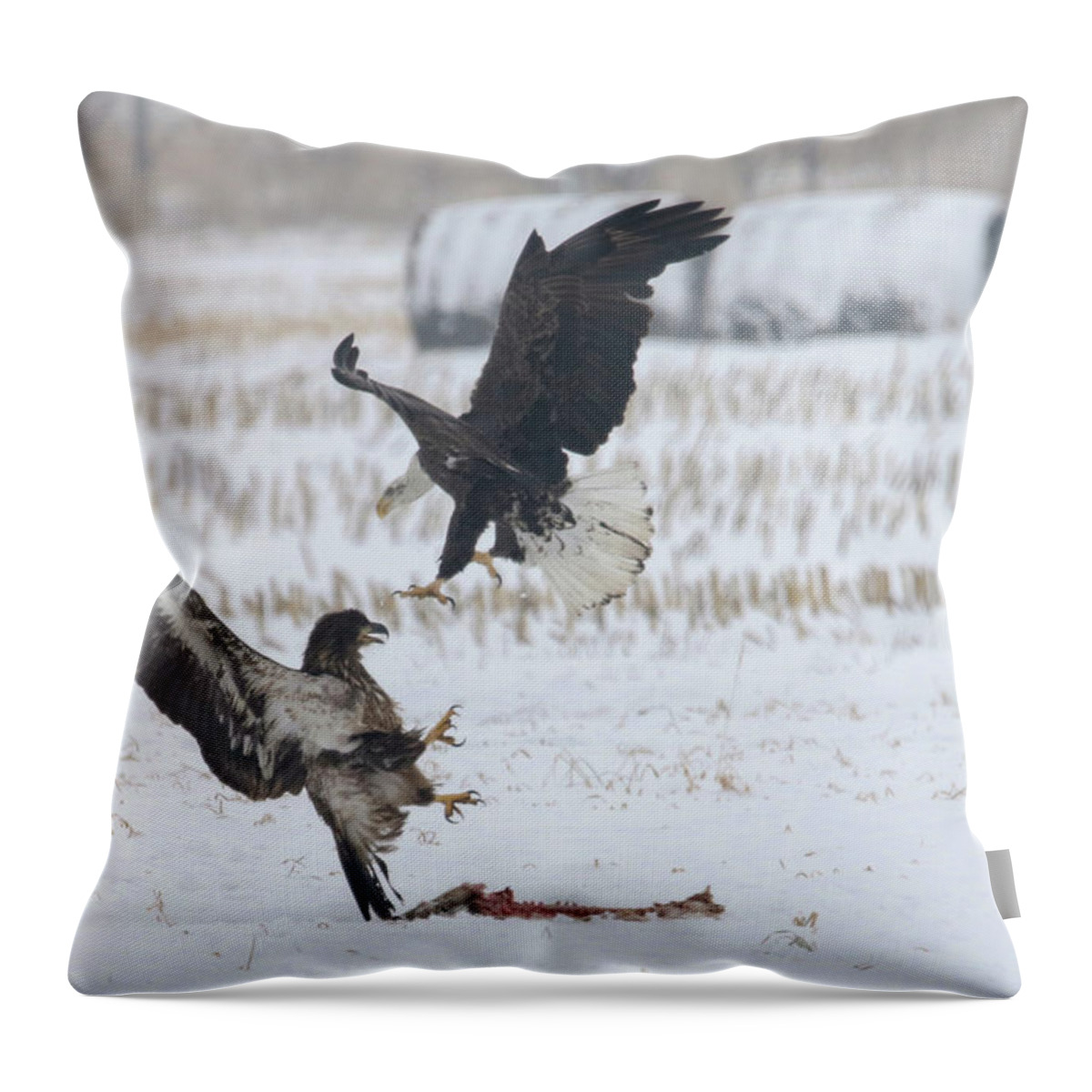 Eagle Throw Pillow featuring the photograph Squabbling Eagles by Brook Burling