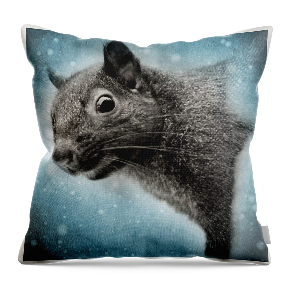 Transfer Print Throw Pillow featuring the photograph Squirrel by Photography By Gordana Adamovic Mladenovic