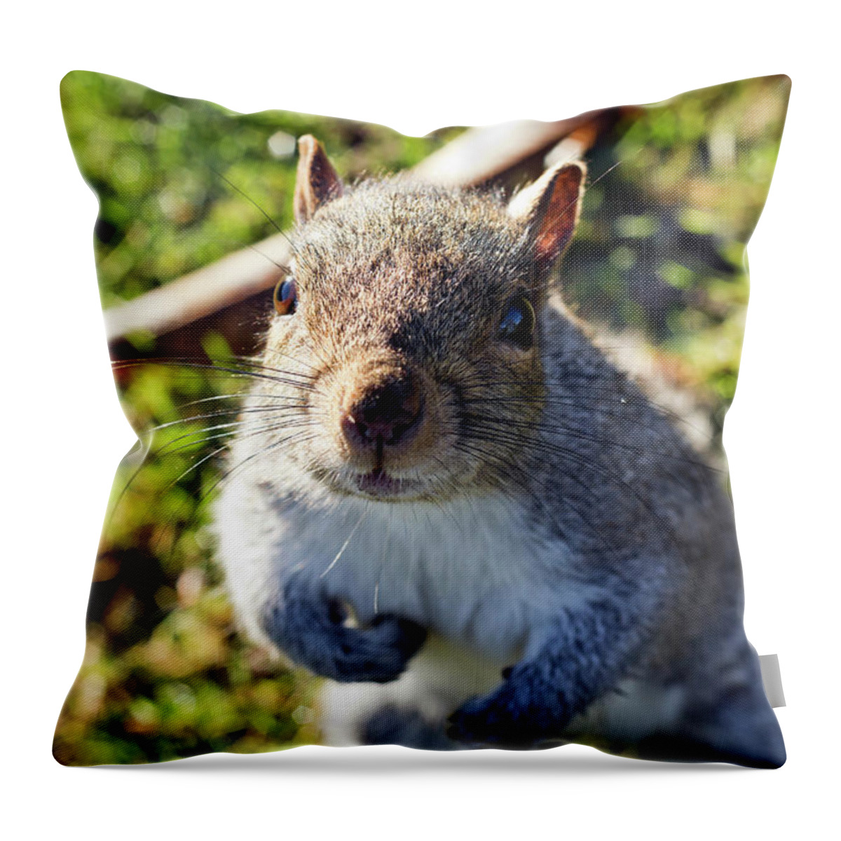 Nature Throw Pillow featuring the photograph Squirrel portrait by Helga Novelli