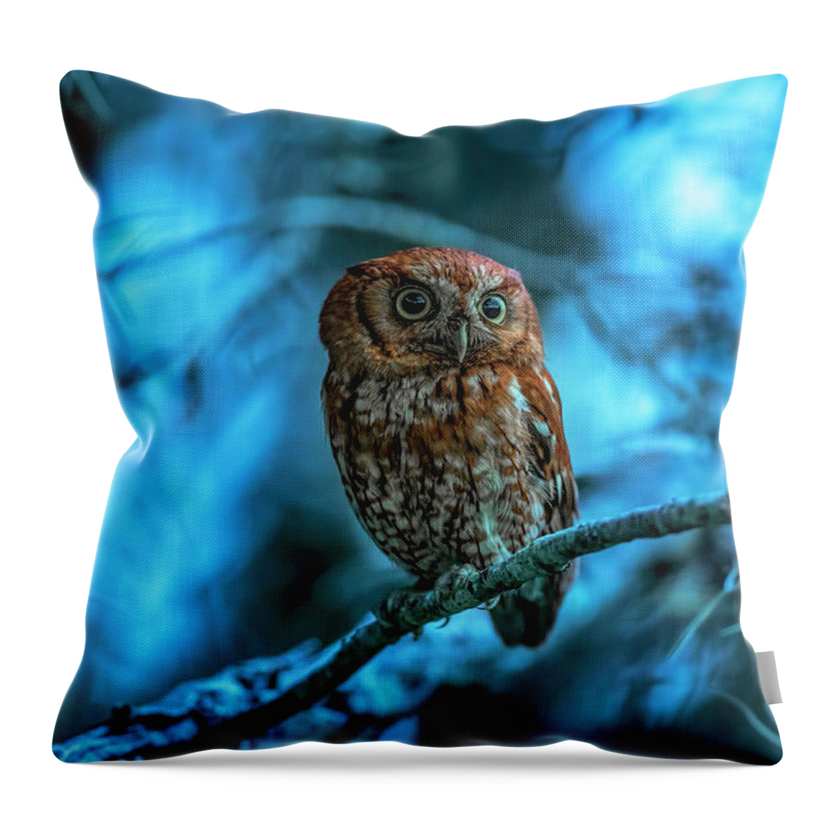 Easternscreechowl Throw Pillow featuring the photograph Screech Owl at Blue Hour by Justin Battles