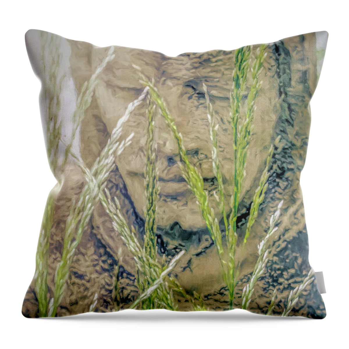 Saint Throw Pillow featuring the digital art St Francis by Jean OKeeffe Macro Abundance Art