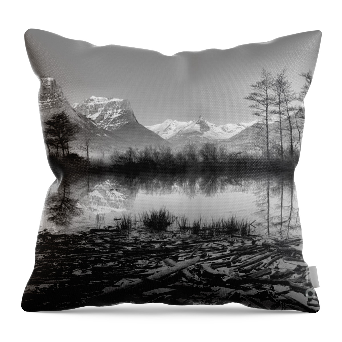 St Mary Throw Pillow featuring the photograph St. Mary Driftwood Pond Reflections Black And White by Adam Jewell
