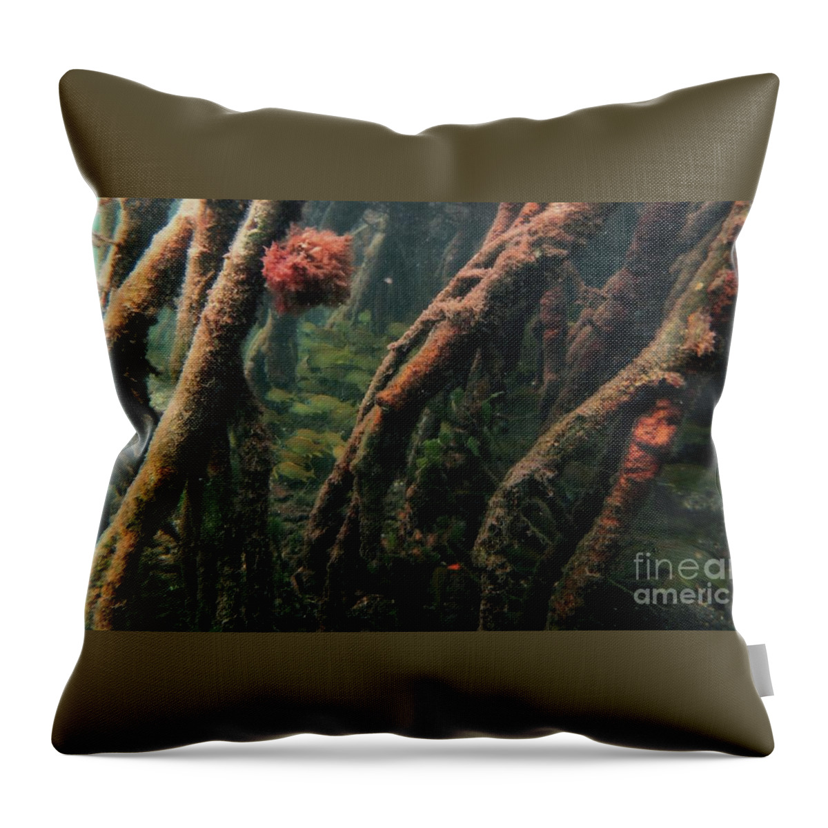 St. Thomas Clear Water Throw Pillow featuring the photograph St. Thomas Clear Waters by Barbra Telfer