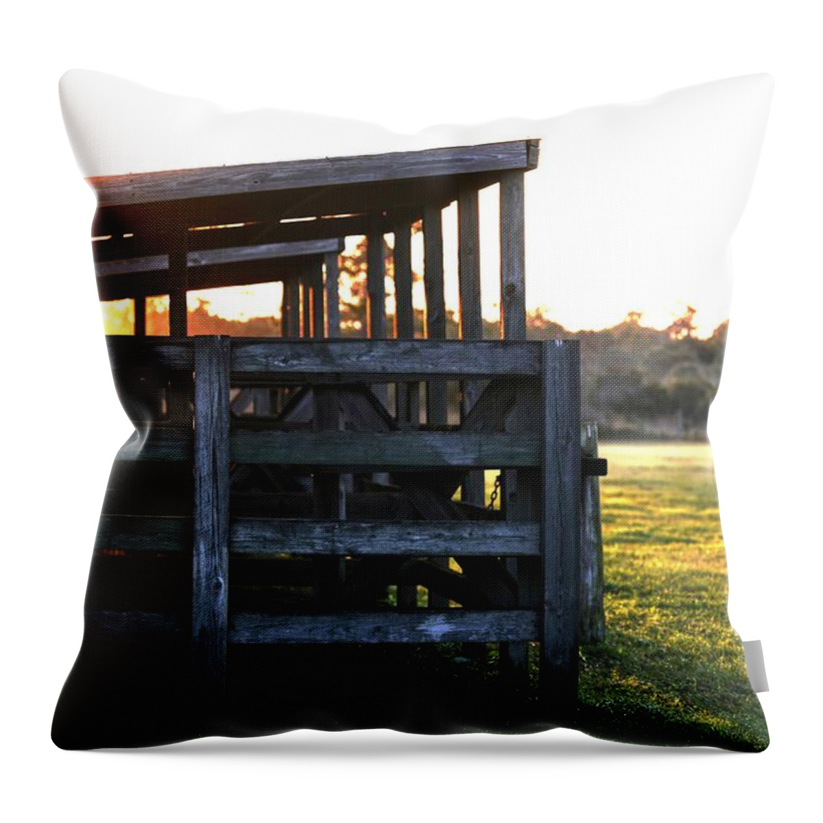 St. Sebastian River Throw Pillow featuring the photograph Stable of the Sun by T Lynn Dodsworth