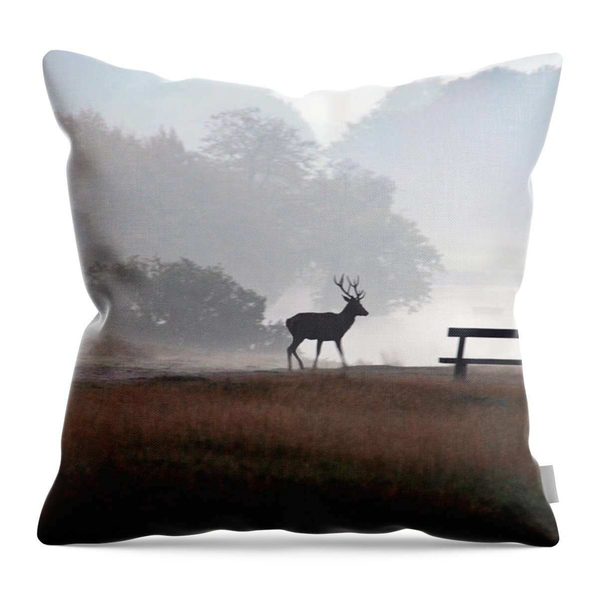 Tranquility Throw Pillow featuring the photograph Stag At Dawn by Rosie Herbert Photography