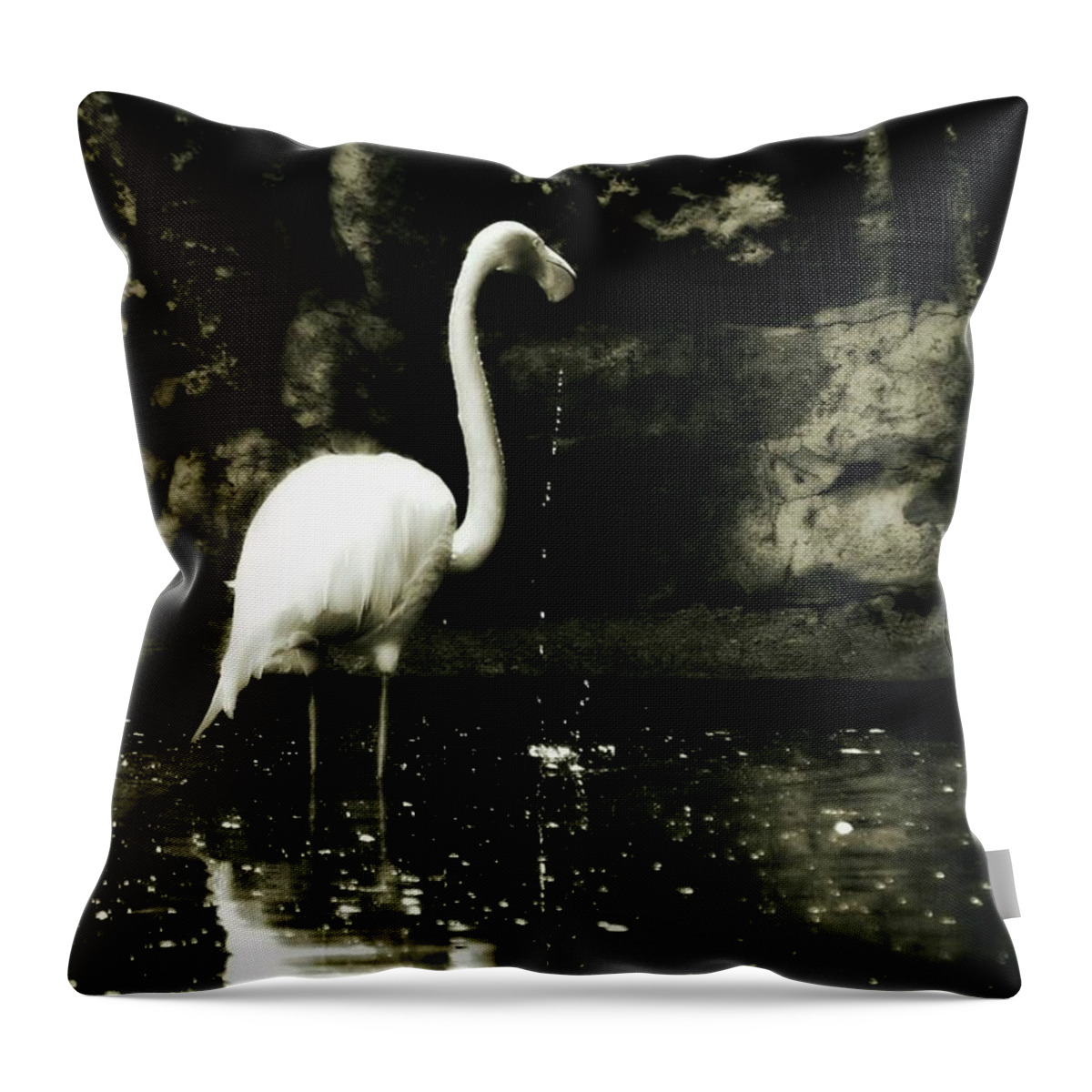 Flamingos Throw Pillow featuring the photograph Stand in Faith by The Art Of Marilyn Ridoutt-Greene