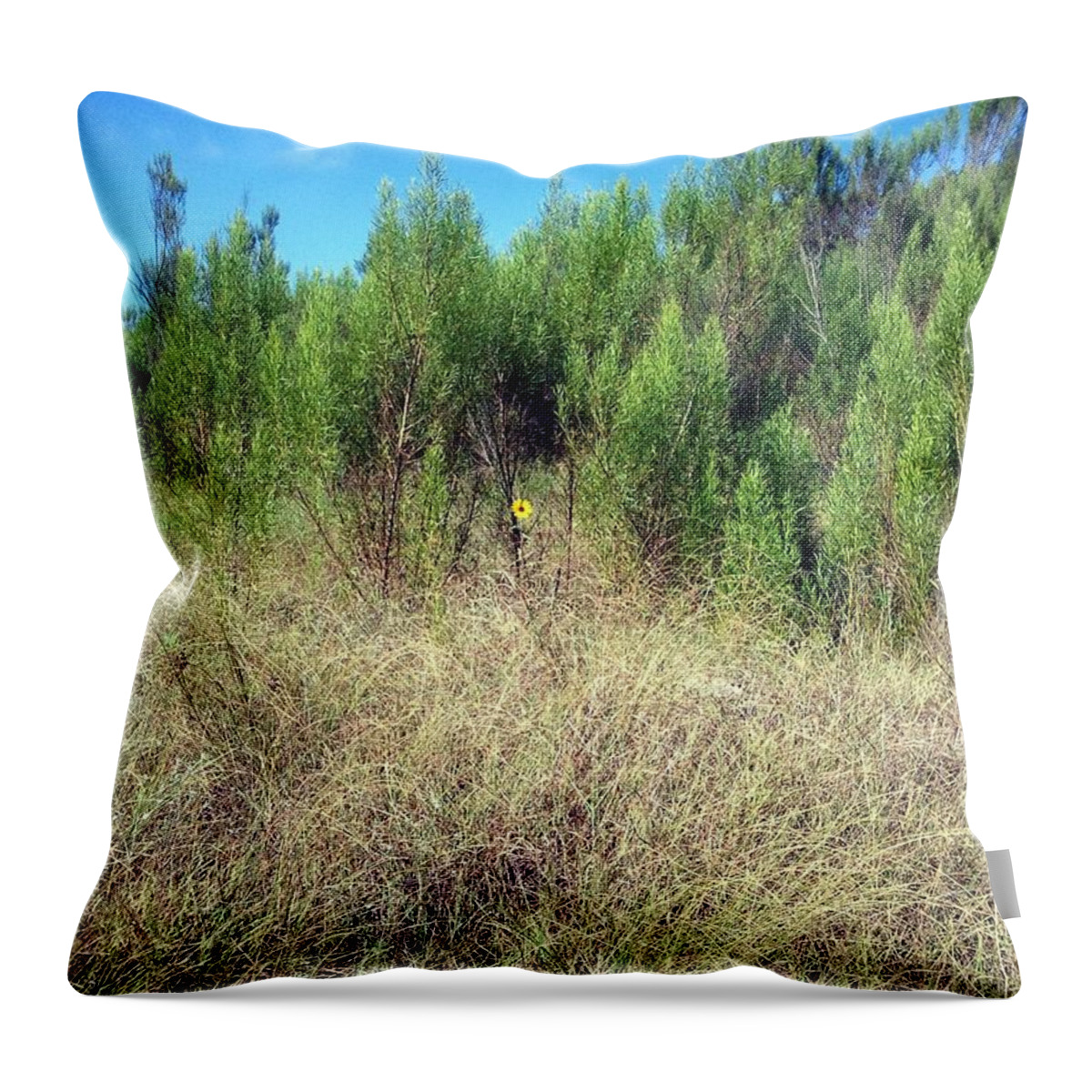 Sunflower Throw Pillow featuring the photograph Standing Tall by Ivars Vilums