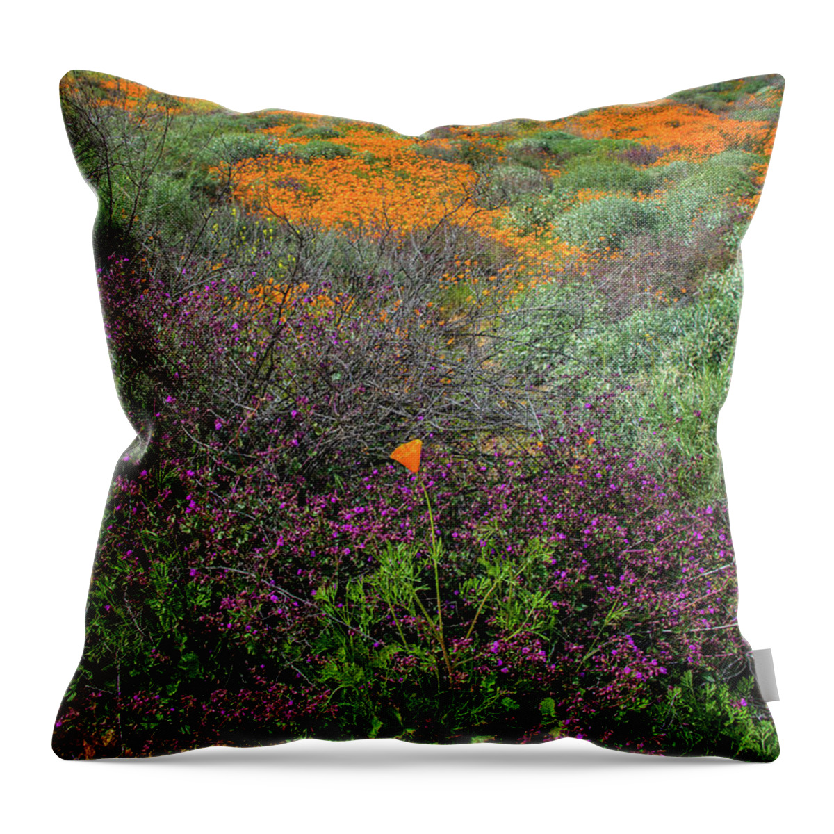 Poppies Throw Pillow featuring the photograph Standout Wildflowers of the 2019 Spring Bloom in Walker Canyon by Lynn Bauer