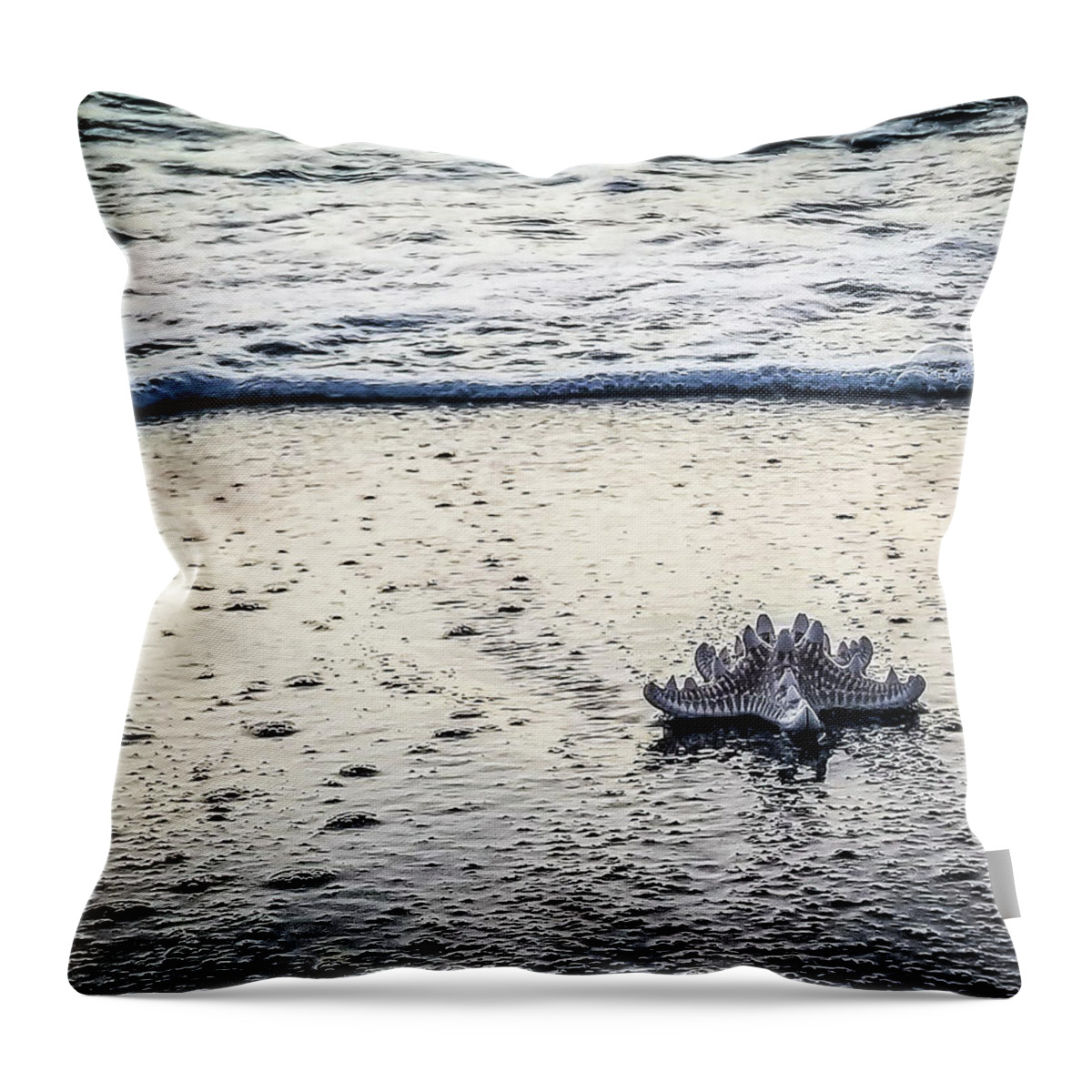  Sunset Throw Pillow featuring the photograph Starfish on Beach by Joe Myeress