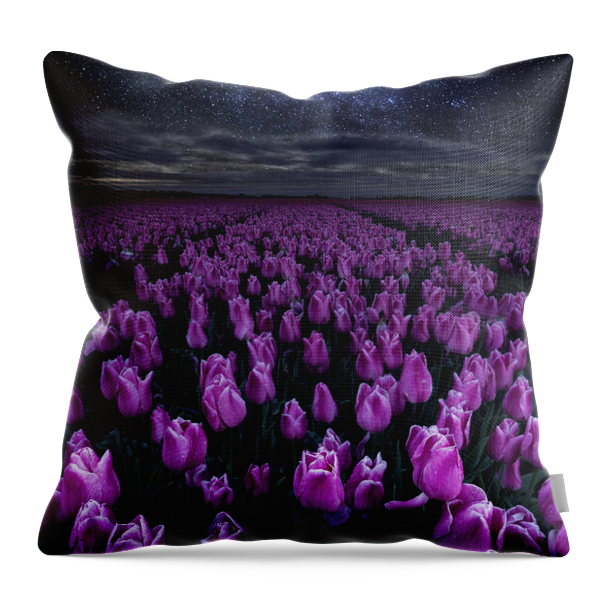 Landscape Throw Pillow featuring the photograph Starlight by Jorge Maia