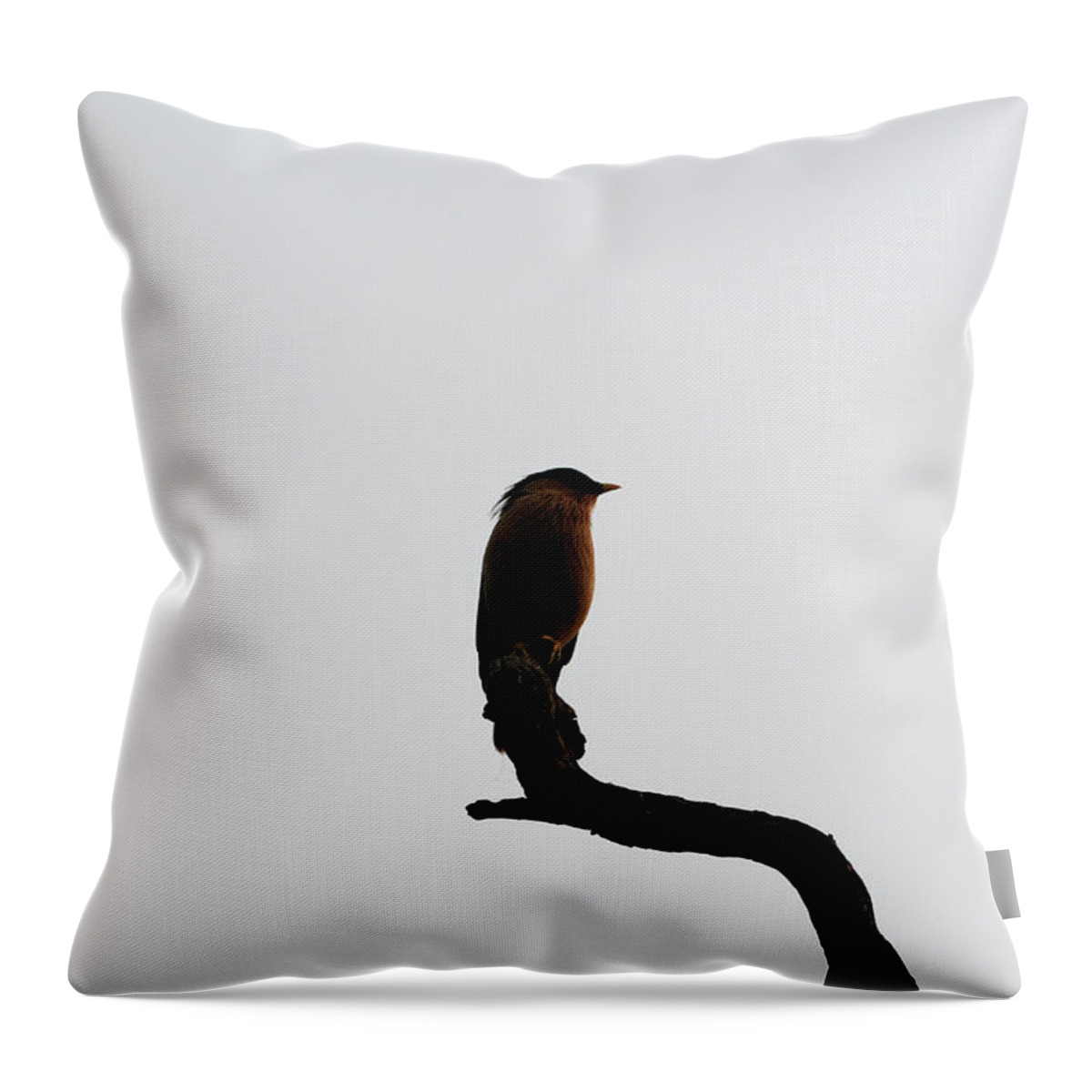 Animal Themes Throw Pillow featuring the photograph Starling by Ravi