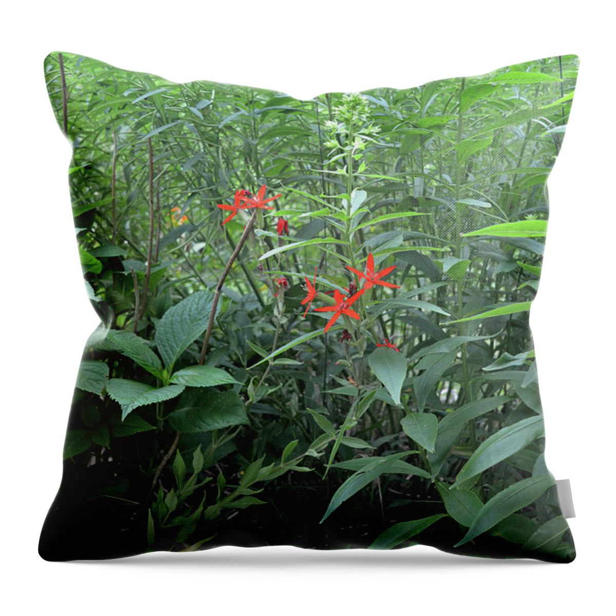 Flower Throw Pillow featuring the photograph Stars Among The Foliage by Aimee L Maher ALM GALLERY