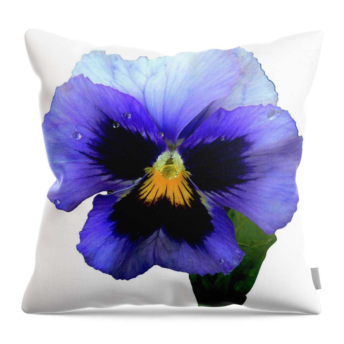 Blue Throw Pillow featuring the photograph Statuesque by Doug Norkum