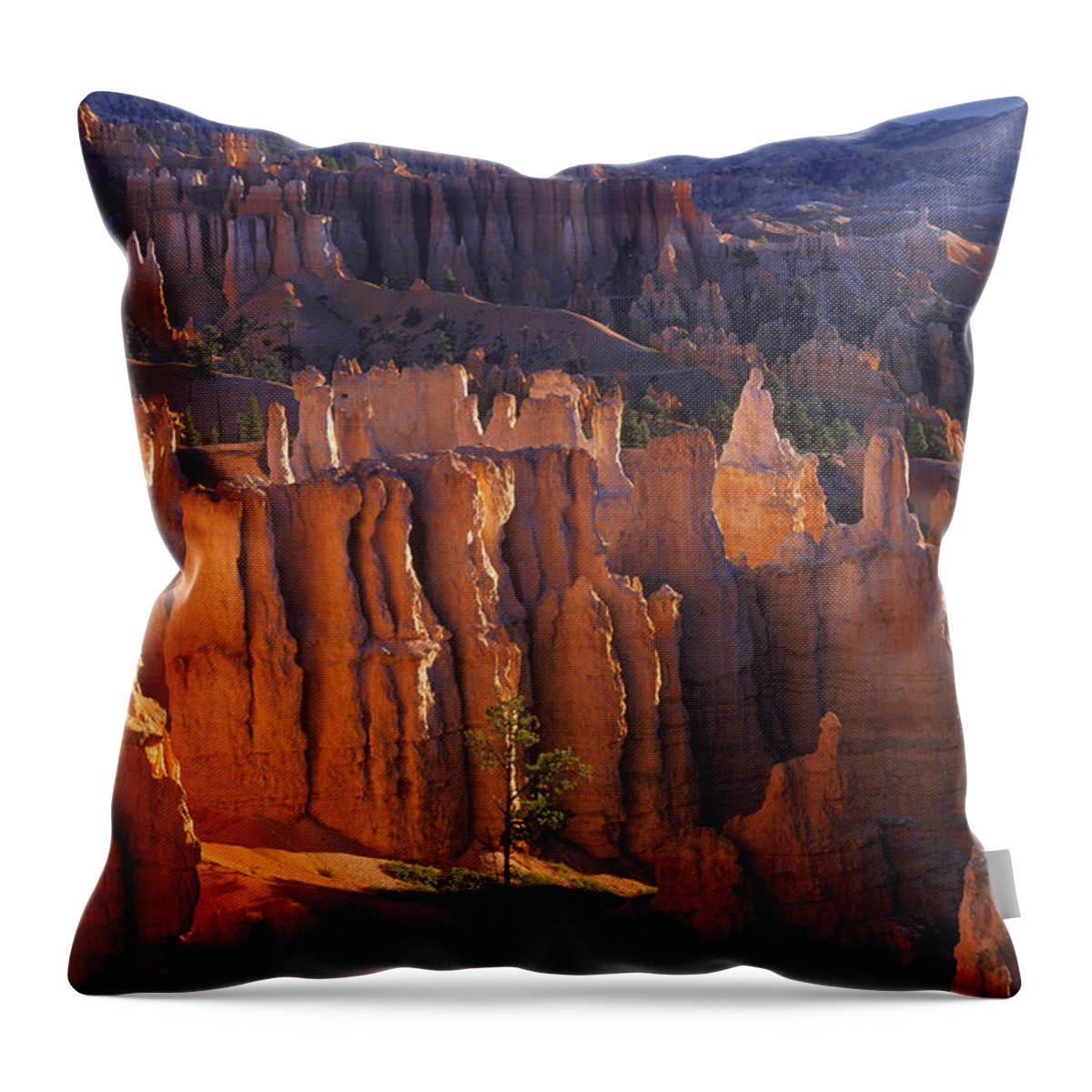 Architectural Column Throw Pillow featuring the photograph Steep Canyon With Tree In Front by Design Pics