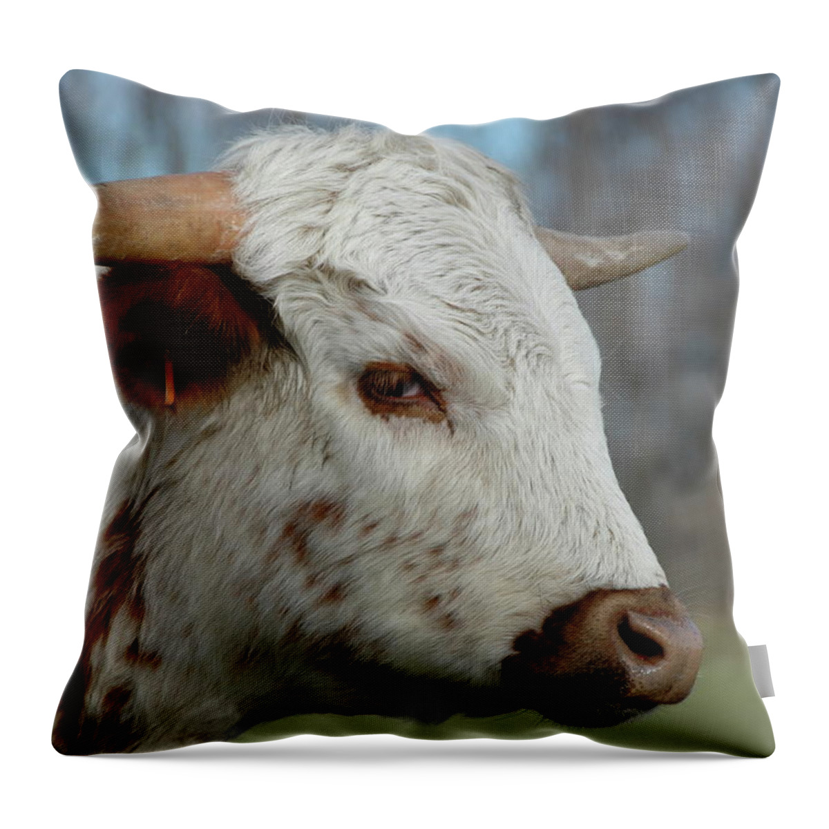 Steer Throw Pillow featuring the photograph Steer Stare Sneer by Marty Klar