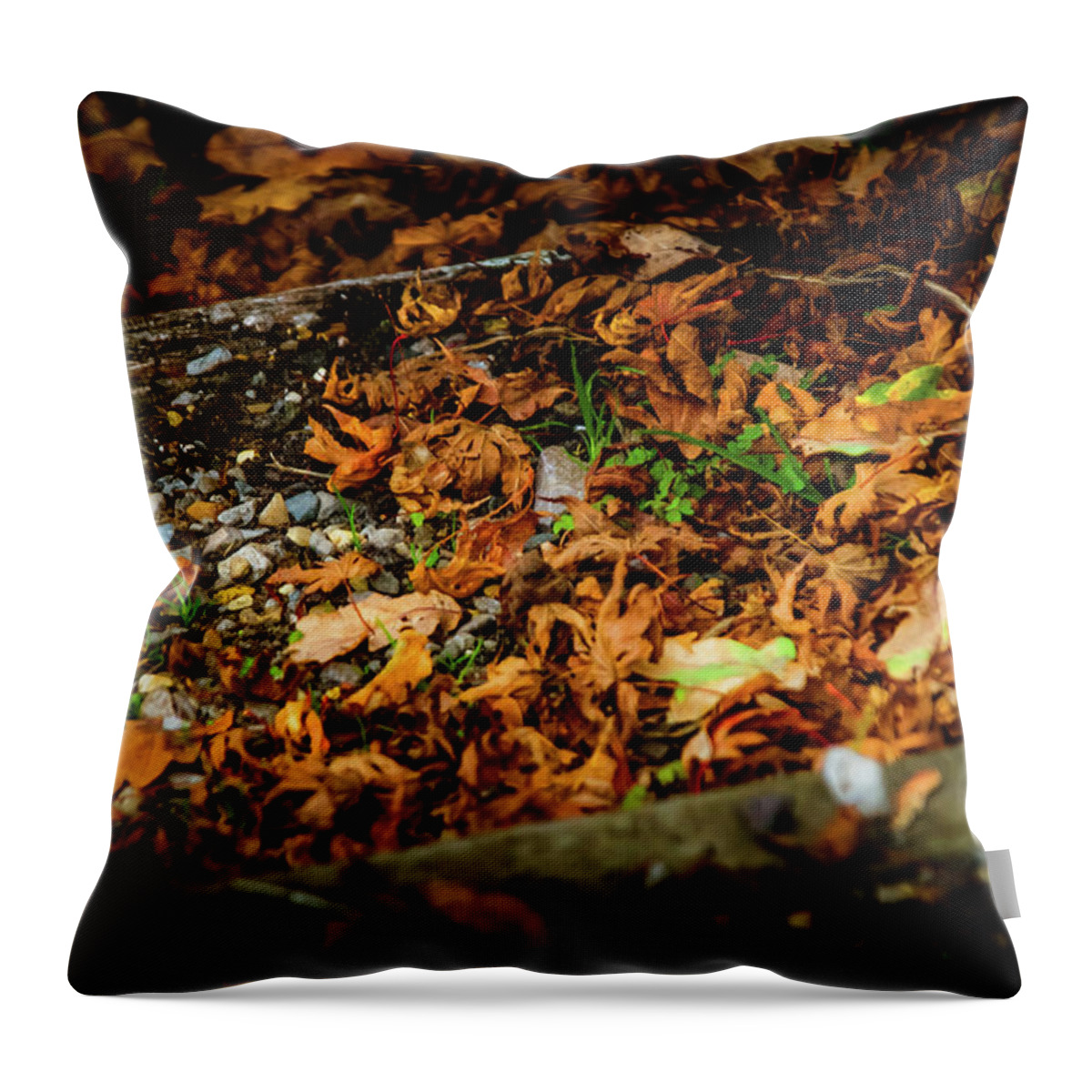 Tree Throw Pillow featuring the photograph Steps of Autumn by Christopher Maxum