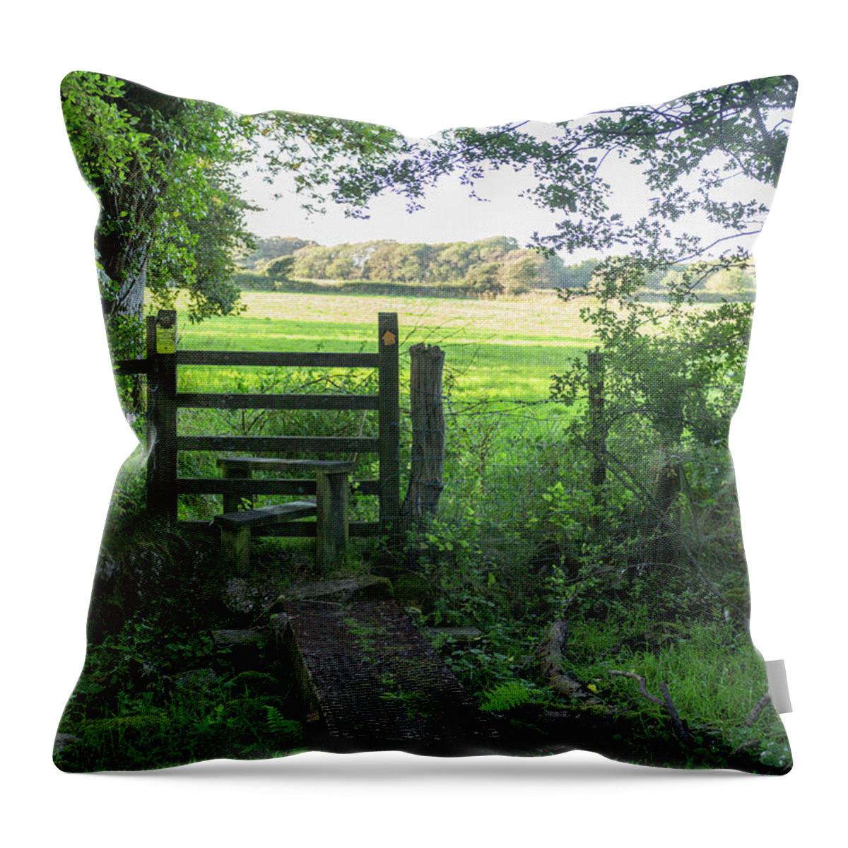 Stile Throw Pillow featuring the photograph Stile between fields in Britain by Paul Cowan