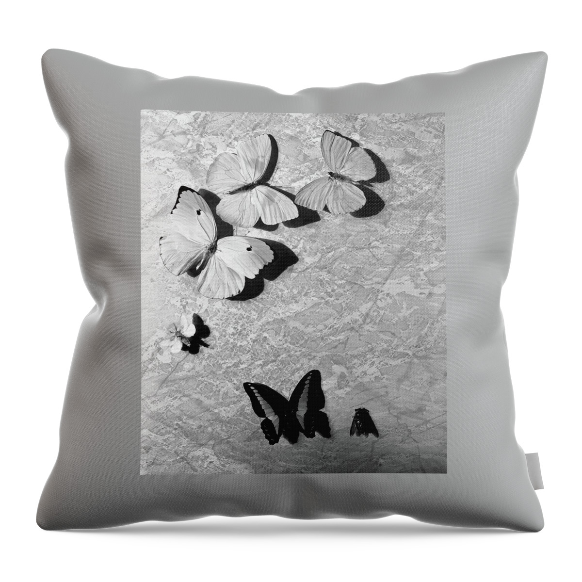 Still-life Of Butterfly Stage Props Throw Pillow