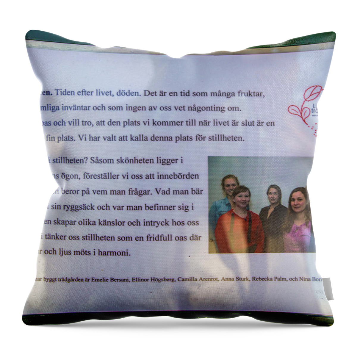 Stillness Introduction Throw Pillow featuring the photograph Stillness introduction #i8 by Leif Sohlman