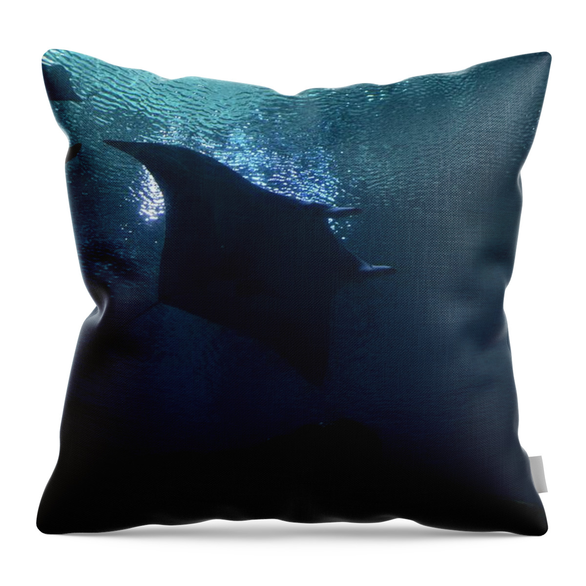 Stingray And Fish Throw Pillow featuring the photograph Stingray and Fish by Warren Thompson