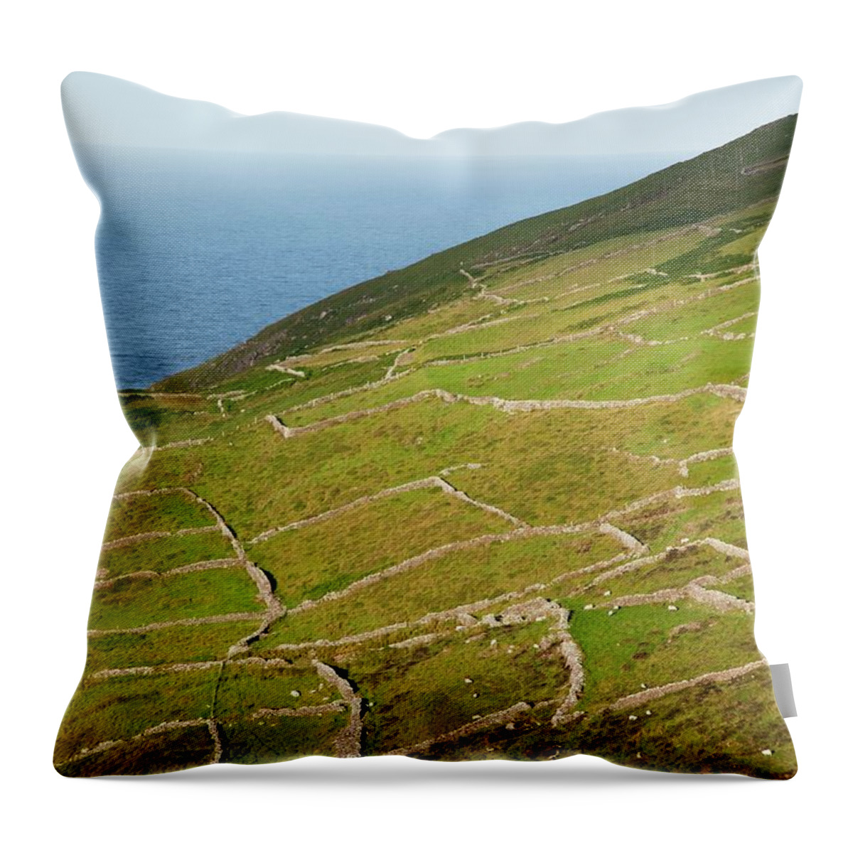 Scenics Throw Pillow featuring the photograph Stone Barriers On Coastal Field by Design Pics / Peter Zoeller