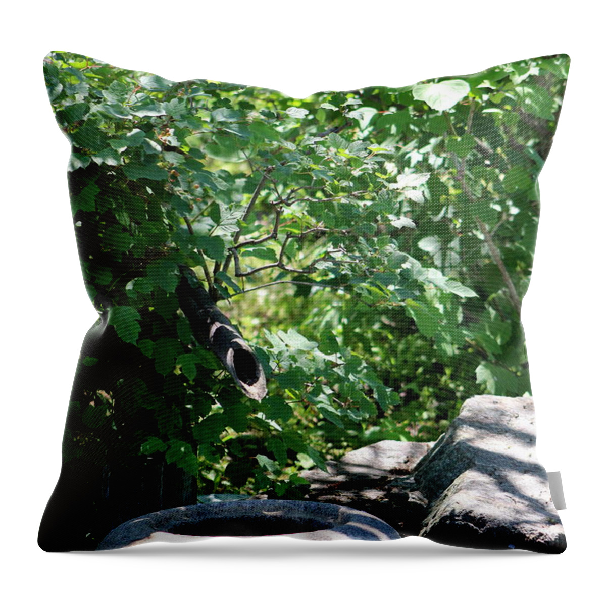 Stone Basin Throw Pillow featuring the photograph Stone Water Basin by Colleen Cornelius