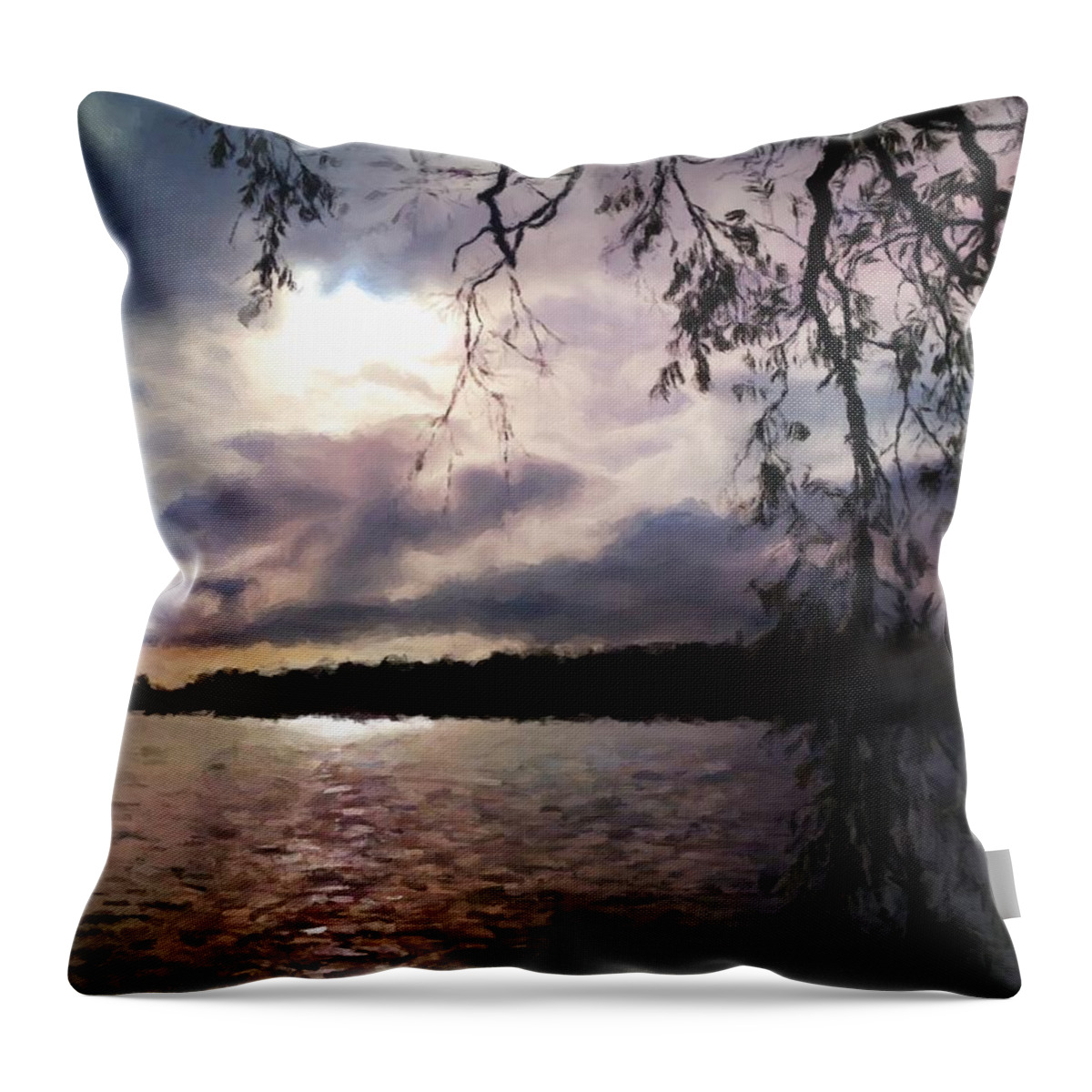 Seattle Throw Pillow featuring the digital art Storm Light by Paisley O'Farrell