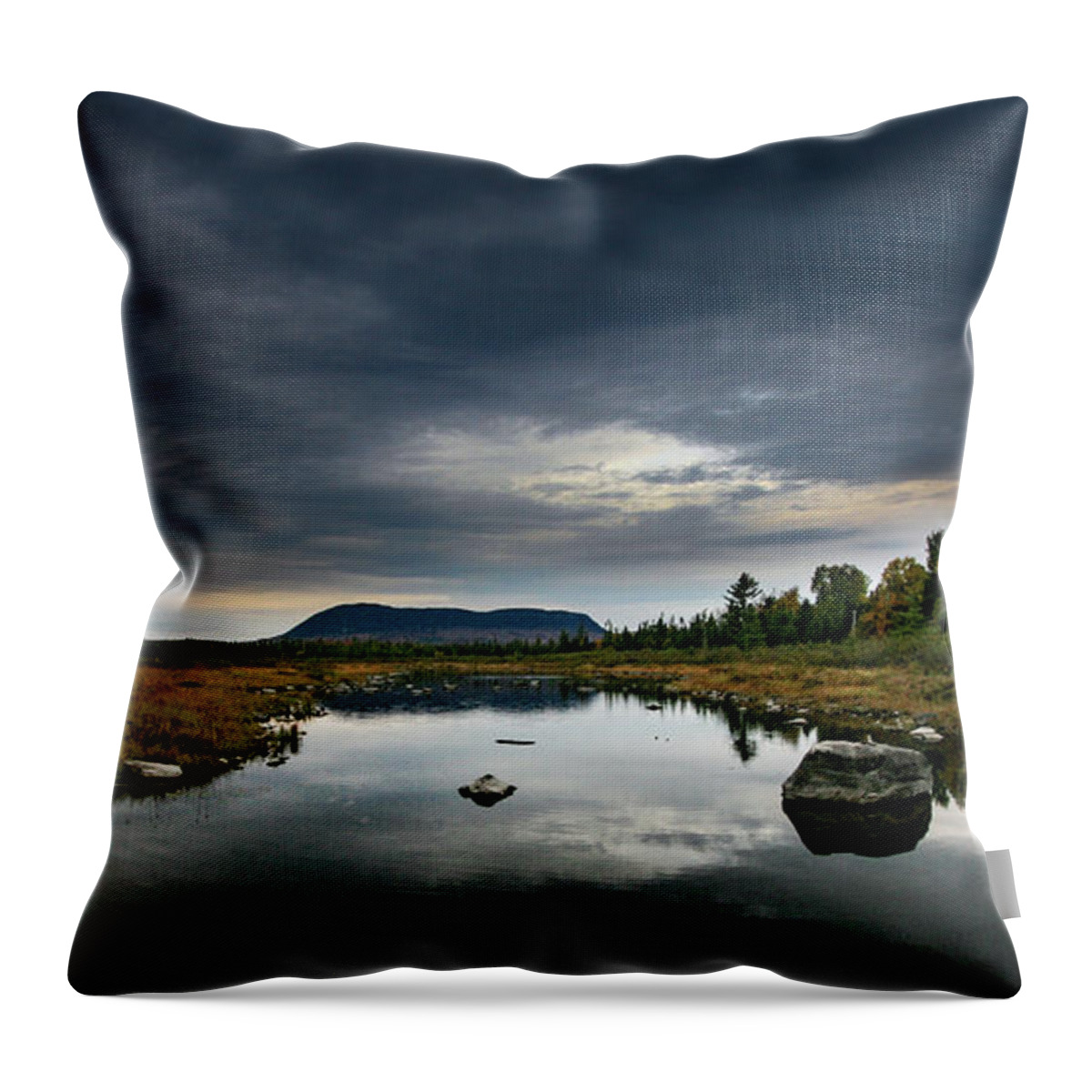 Maine Throw Pillow featuring the photograph Stormy Day in Maine by Kevin Schwalbe