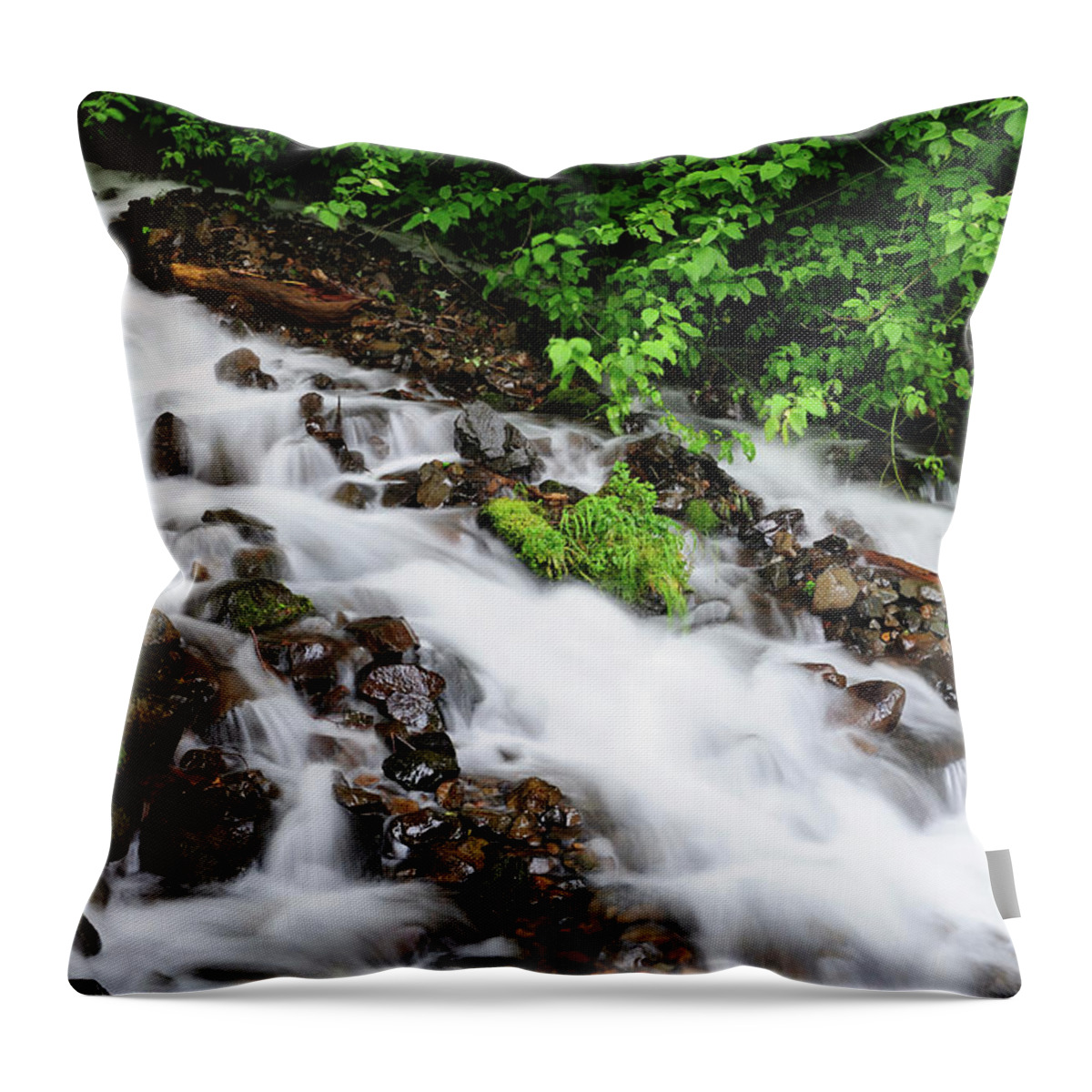 Scenics Throw Pillow featuring the photograph Stream by Aimintang