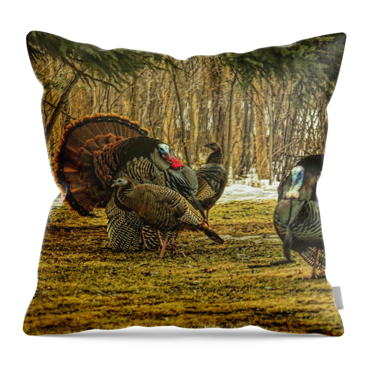 Wild Turkey Throw Pillow featuring the photograph Strutters And Hens by Dale Kauzlaric