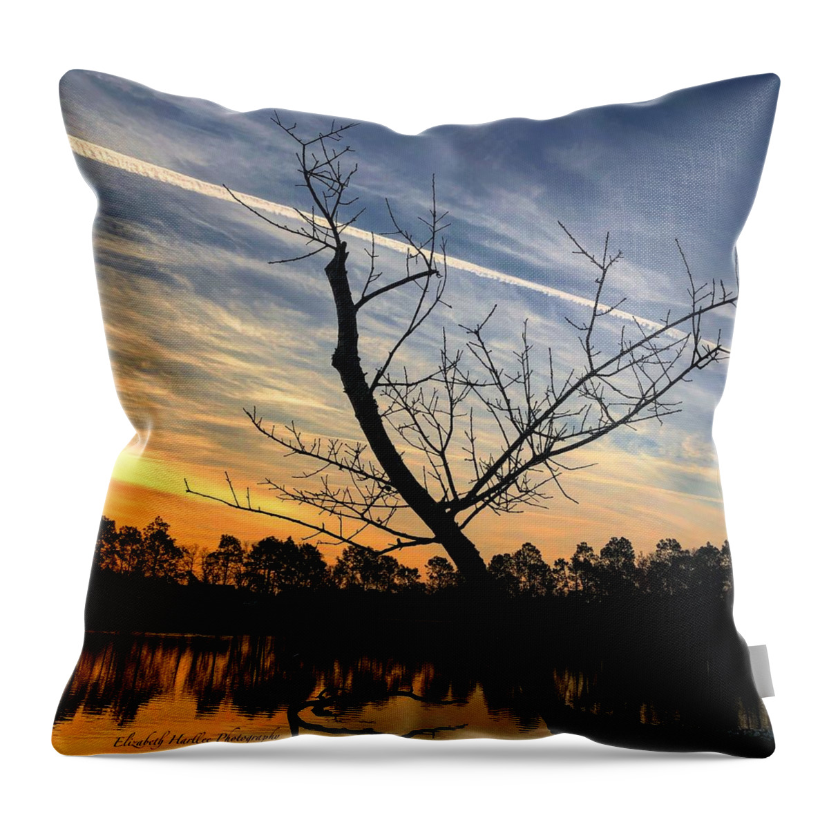 Sunrise Throw Pillow featuring the photograph Success by Elizabeth Harllee