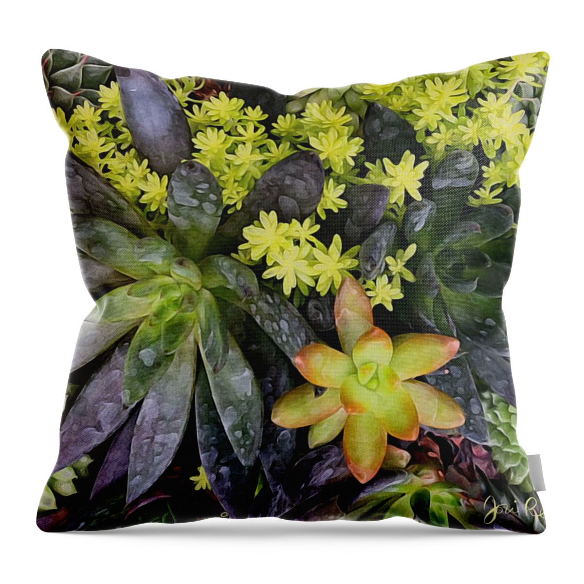Brushstroke Throw Pillow featuring the photograph Succulent Garden by Jori Reijonen