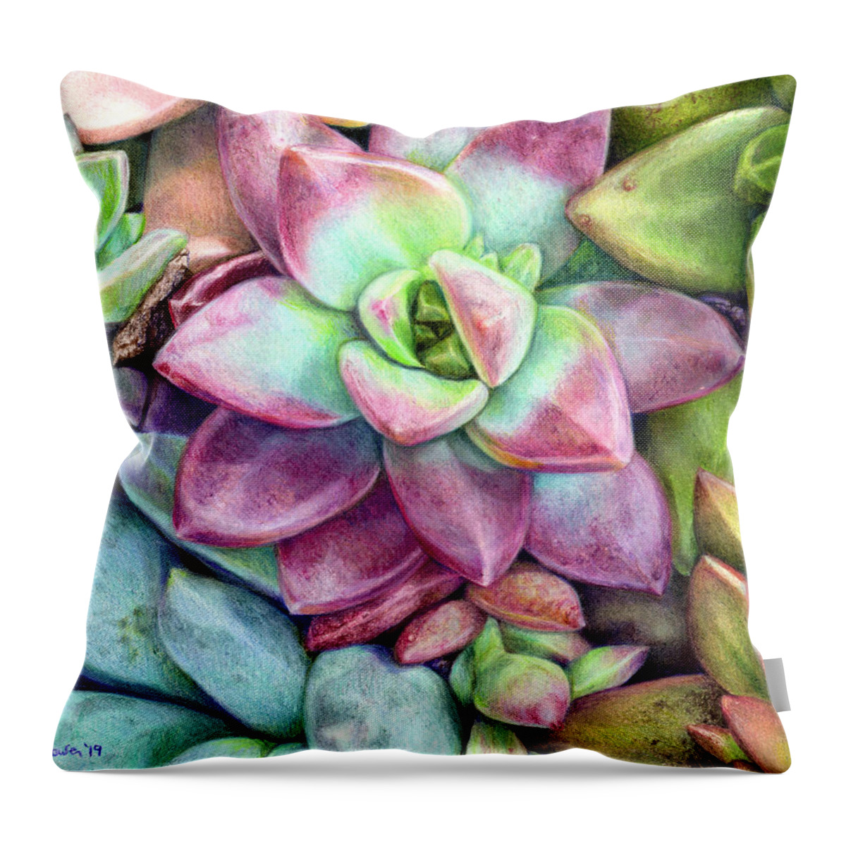 Succulent Throw Pillow featuring the drawing Succulent Succulents by Shana Rowe Jackson