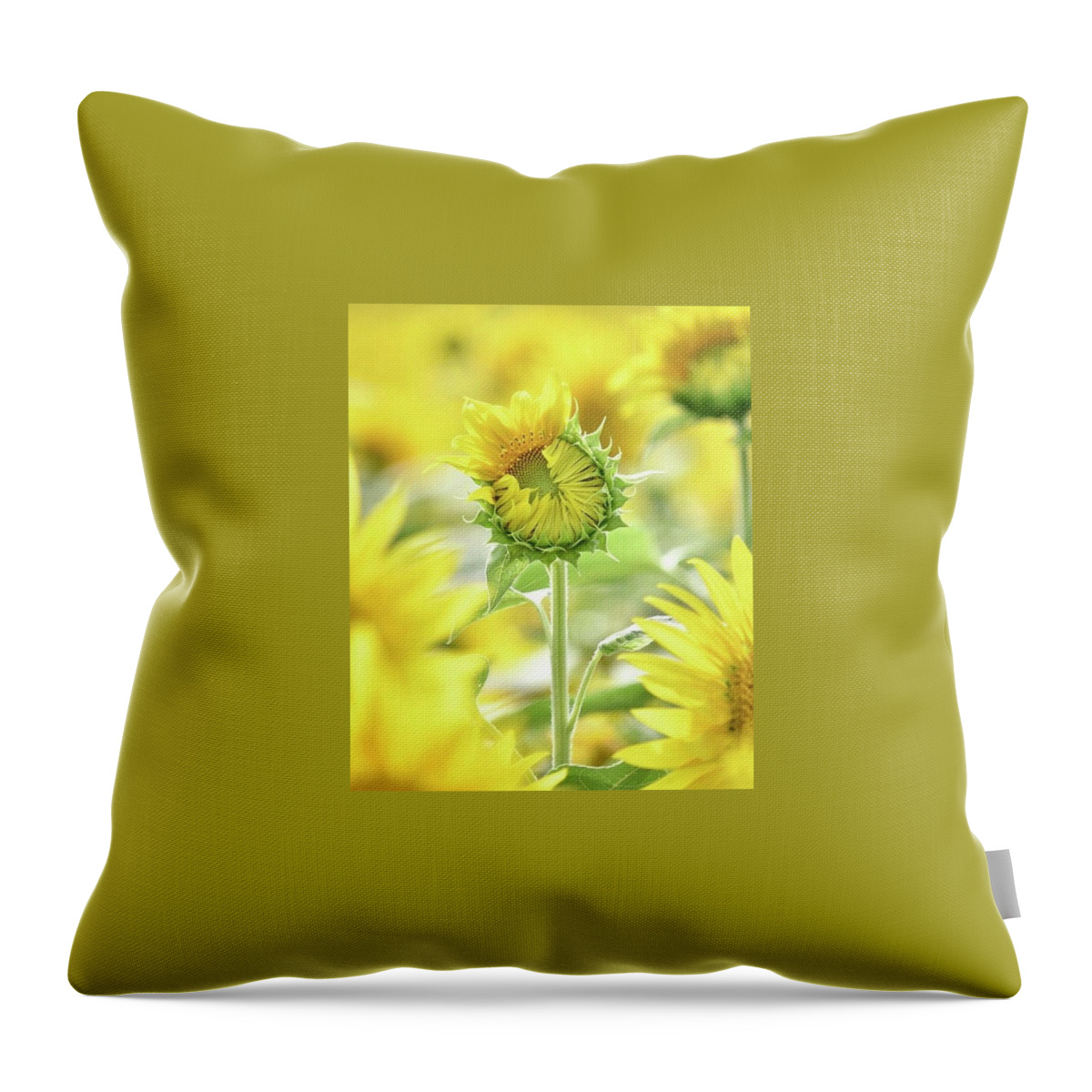 Sunflower Throw Pillow featuring the photograph Sumertime by Carolyn Mickulas