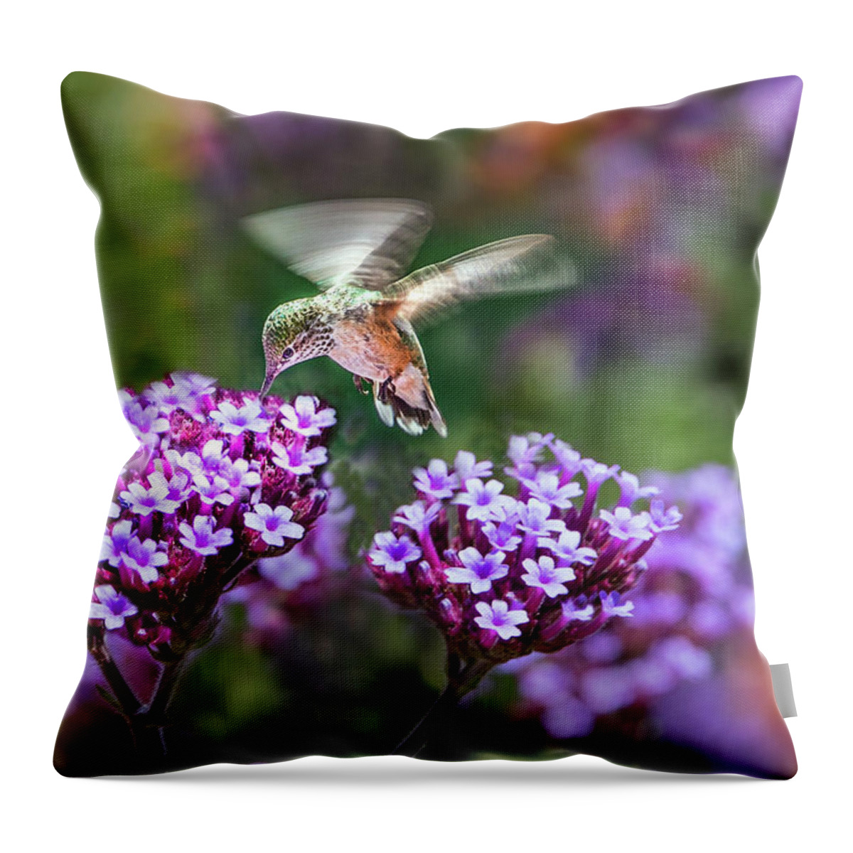 Color Throw Pillow featuring the photograph Summer Colors by James Woody