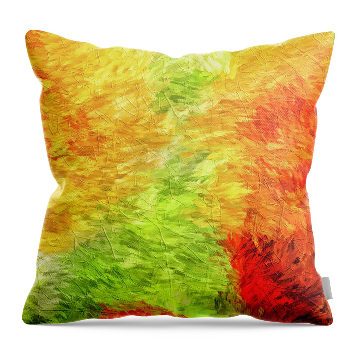 Painting Throw Pillow featuring the digital art Summer Impressions by Doreen Erhardt