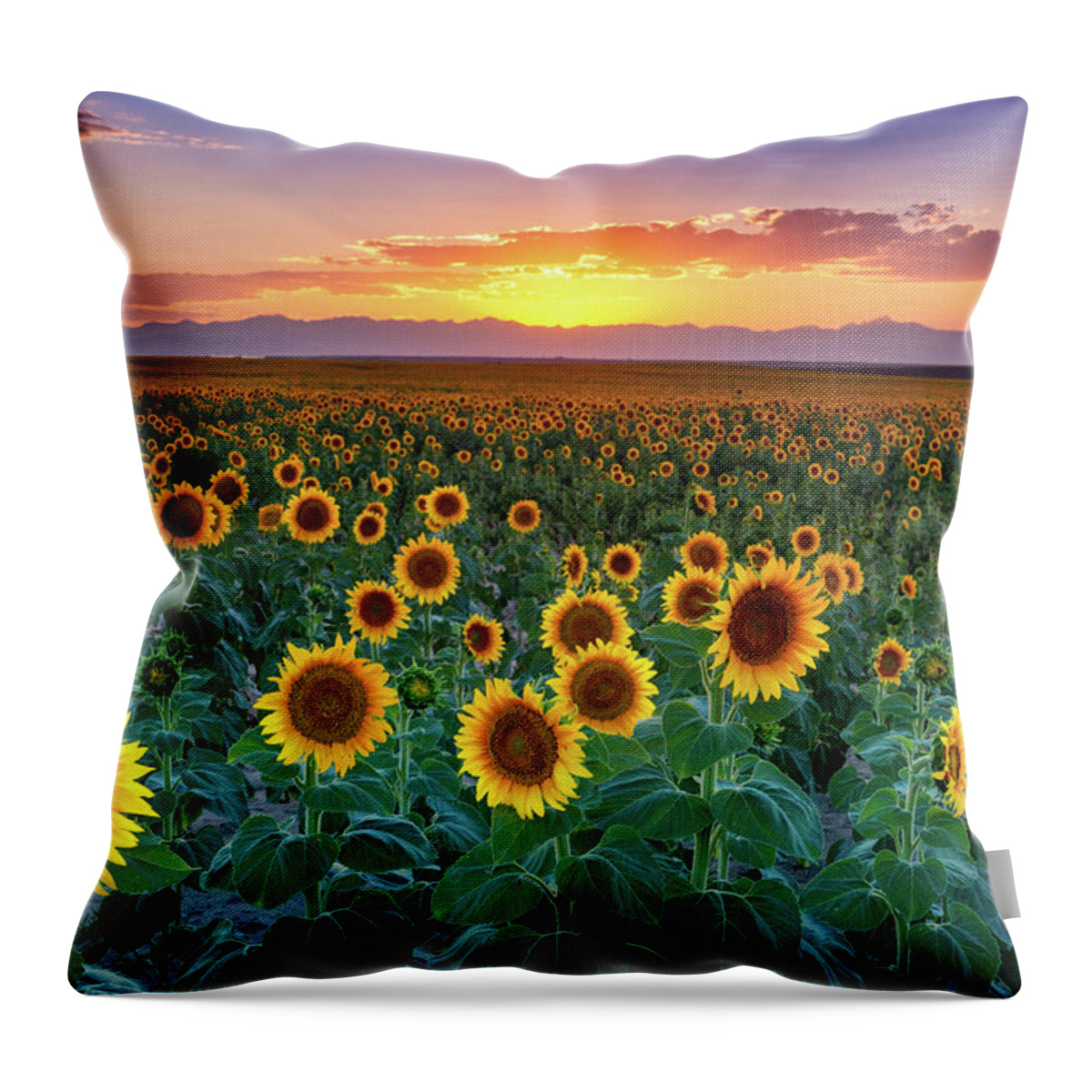 Colorado Throw Pillow featuring the photograph Summer Romance by John De Bord