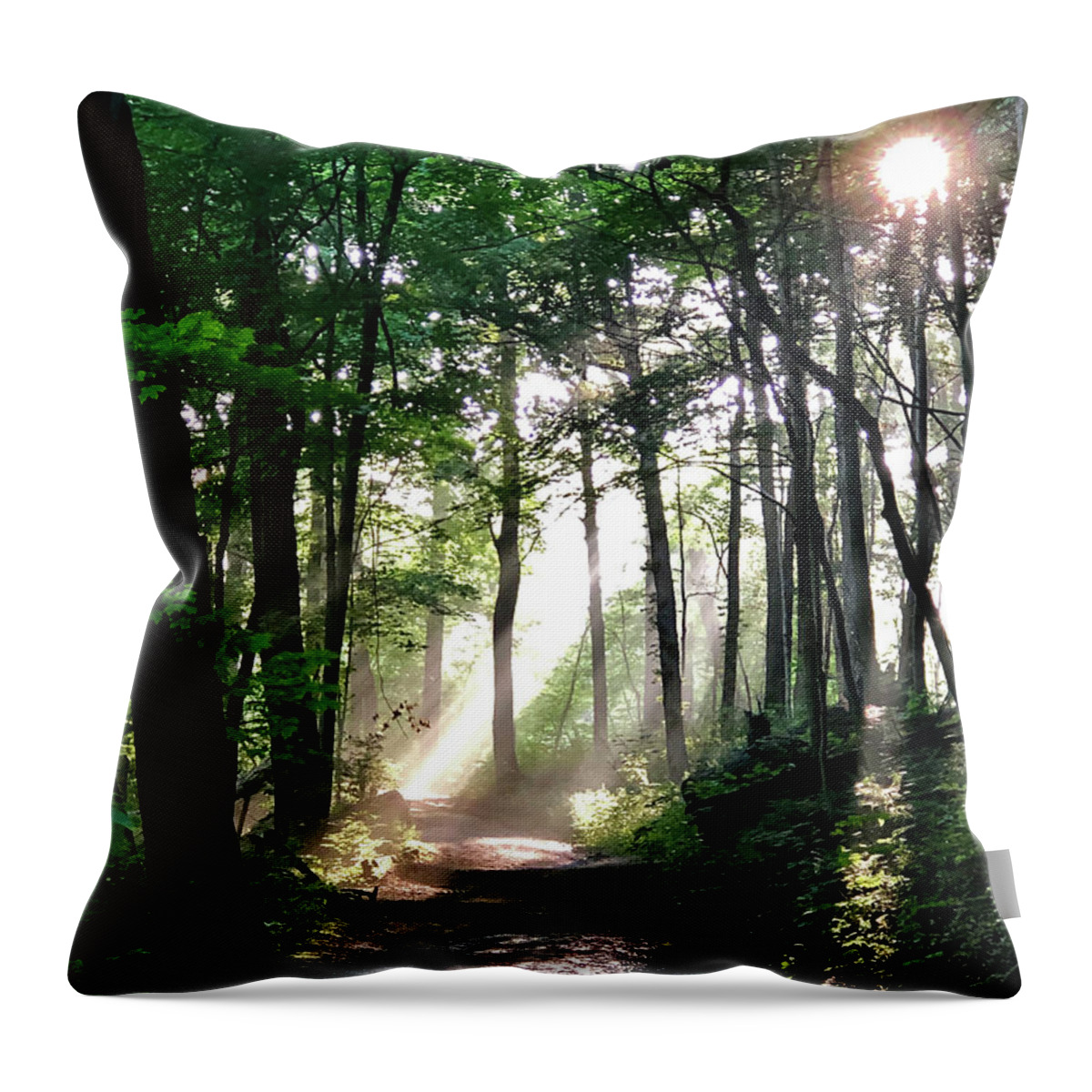 Solstice Throw Pillow featuring the photograph Summer Soltice Morning by Paula Guttilla