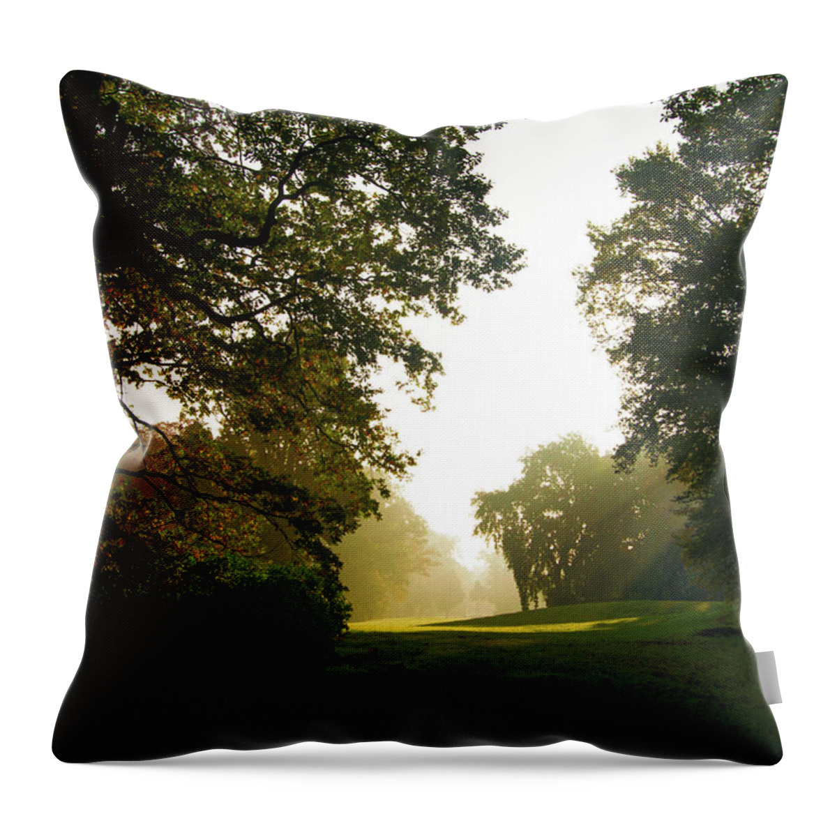 Sunrise Throw Pillow featuring the photograph Sun beams in the distance by Sun Travels