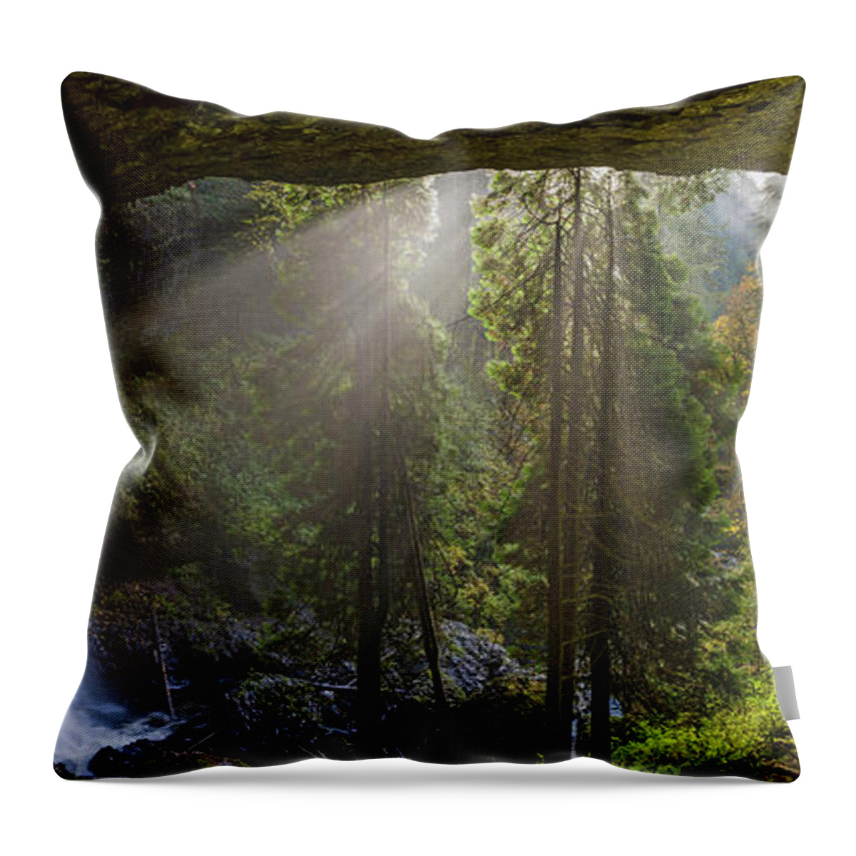 Silver Falls State Park Throw Pillow featuring the photograph Sun, fog and rain by Ulrich Burkhalter