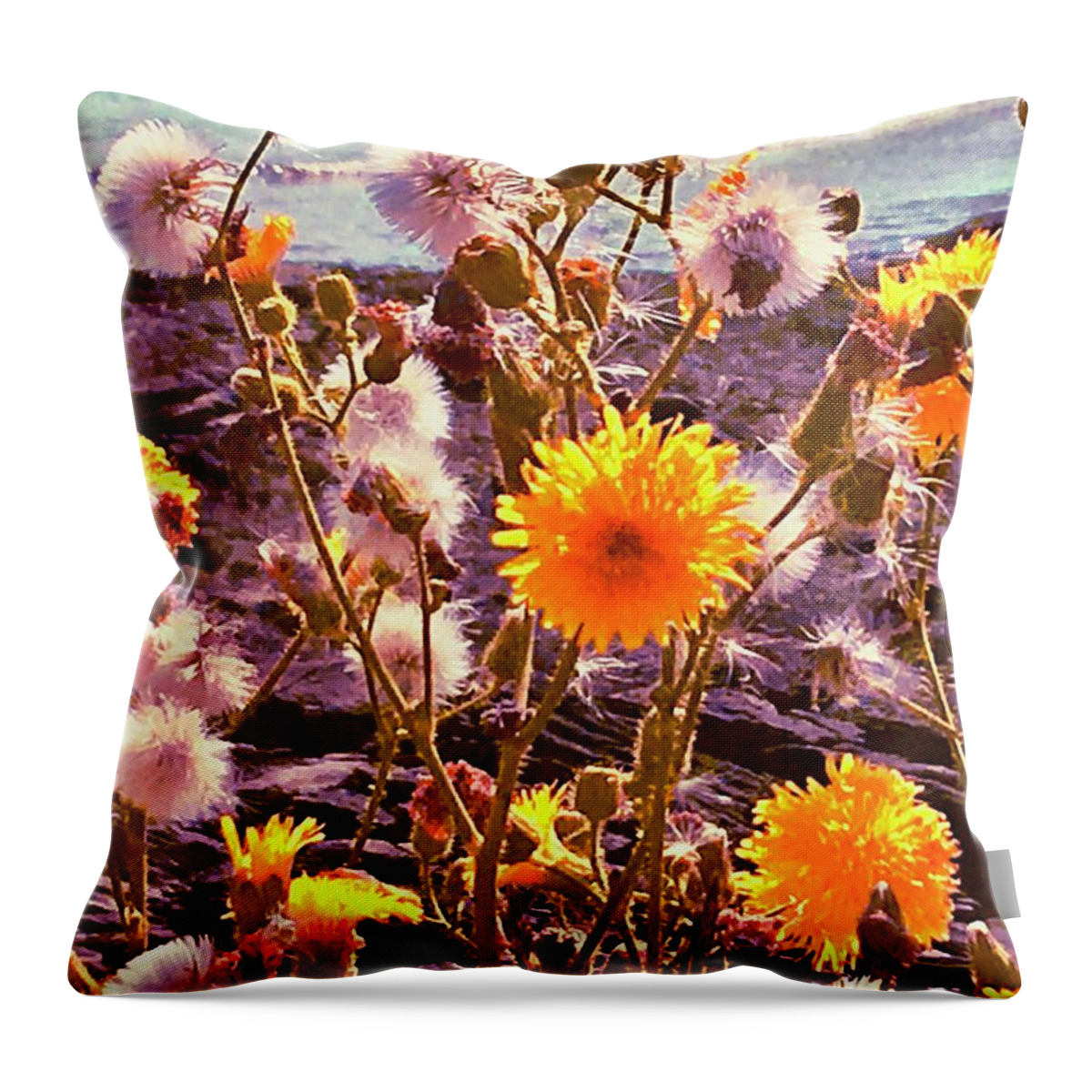 Sun-glow Throw Pillow featuring the photograph Sun-Glow Dandelions on the Rocky Shore by Debra Grace Addison