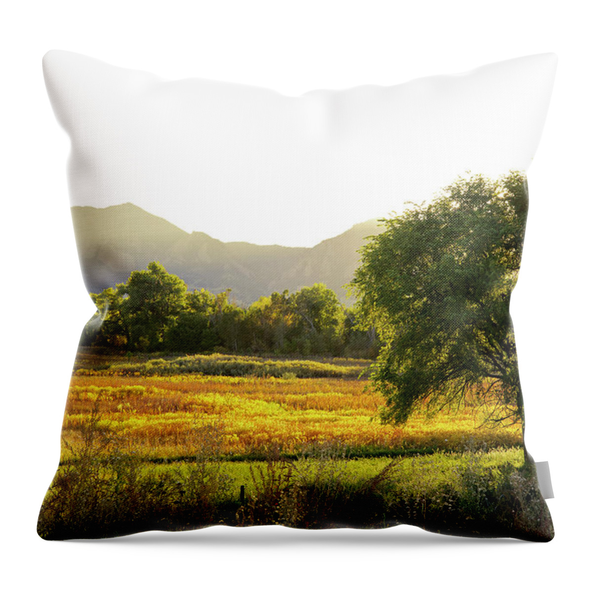 Scenics Throw Pillow featuring the photograph Sun Setting Over Boulder Colorado Open by Beklaus