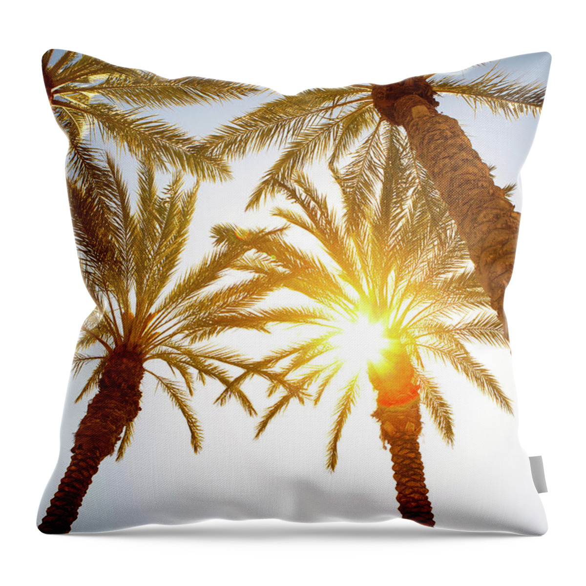 Saturated Color Throw Pillow featuring the photograph Sunbeam Coming Through Palm Tree Leaves by Pawel.gaul