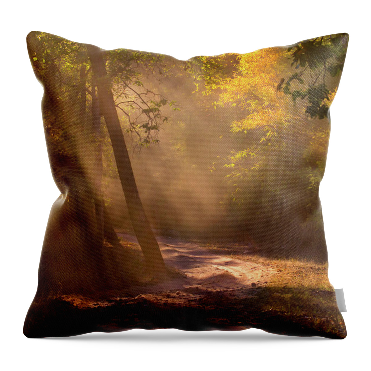 Scenics Throw Pillow featuring the photograph Sunbeams In Bandhavgarh Forest by Adria  Photography